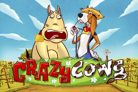Crazy Cows
