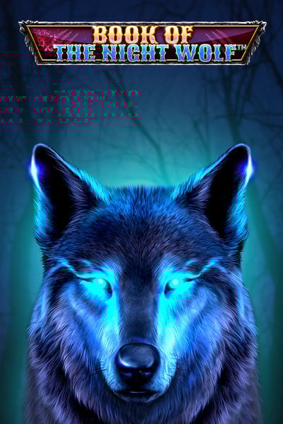 Book Of The Night Wolf